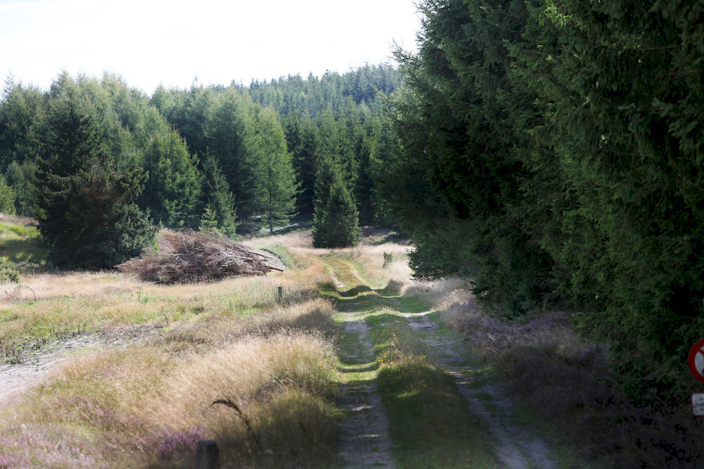 Dancamps Hampen Hotel Buitenkant foto